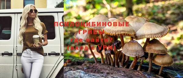бошки Нея