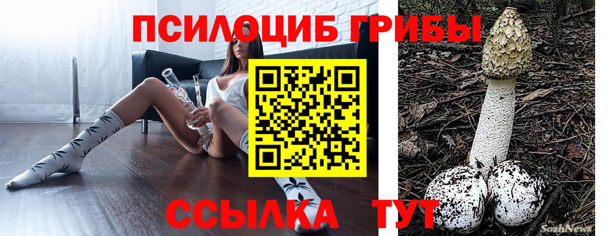 Псилоцибиновые грибы MAGIC MUSHROOMS  Галлюциногенные грибы Psilocybe  даркнет сайт  Вход с VPN  Владивосток 