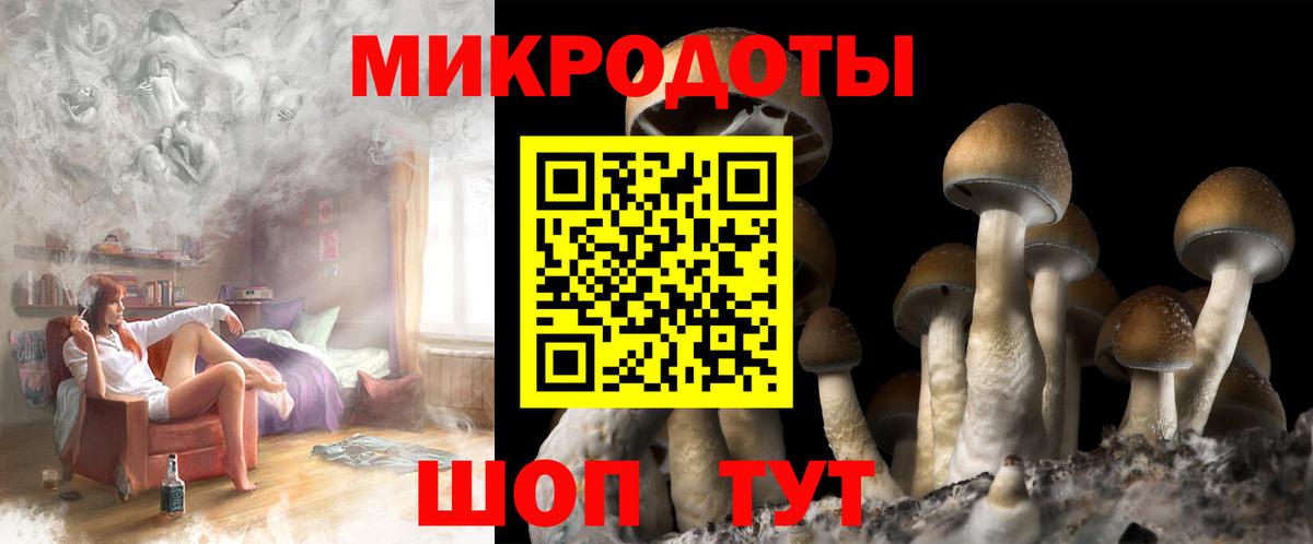 Псилоцибиновые грибы прущие грибы Владивосток